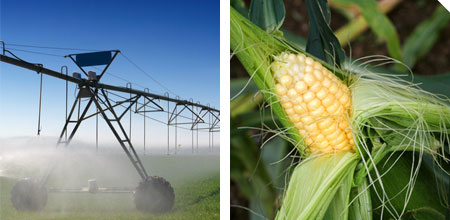 Agro Agri picture
