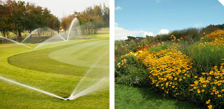 Green space golf picture